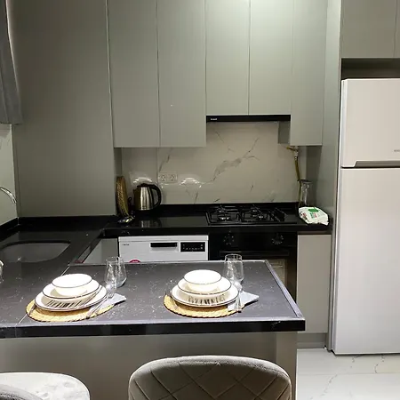 Modern 2 Bedroom Flat In Cihangir Apartment
