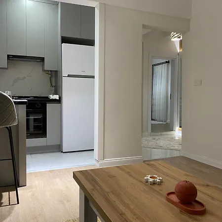 Modern 2 Bedroom Flat In Cihangir